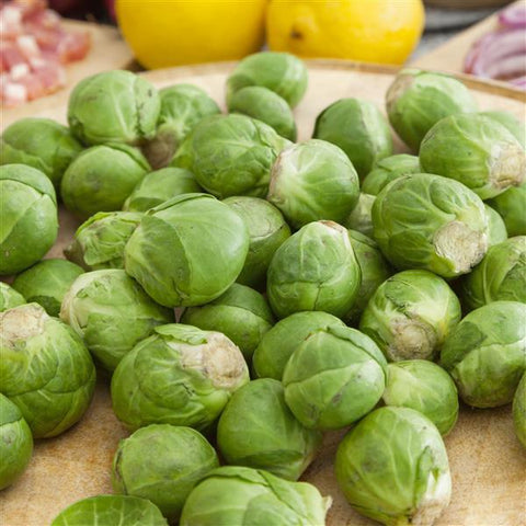 Brussel Sprout 'Long Island'