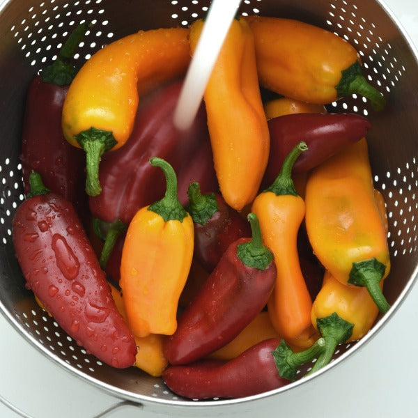 Pepper Peppi Snacking Series Prairie Blossom Nursery