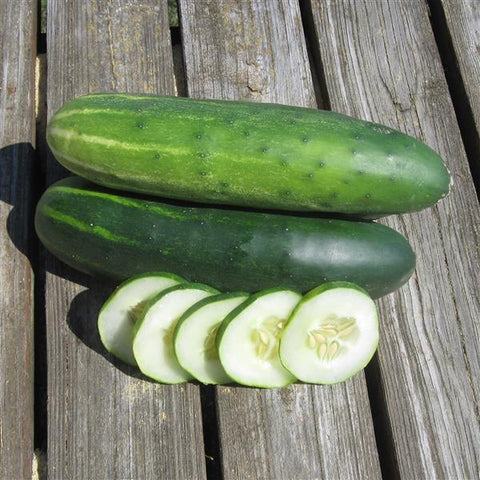 Cucumber Marketmore BS