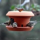 Deroma Standard Terra Cotta Clay Pot