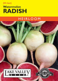 RADISH WATERMELON Heirloom