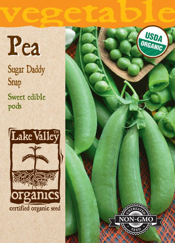 Organic Pea Sugar Daddy Snap (Bush)