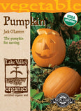 Organic Pumpkin Jack O’Lantern