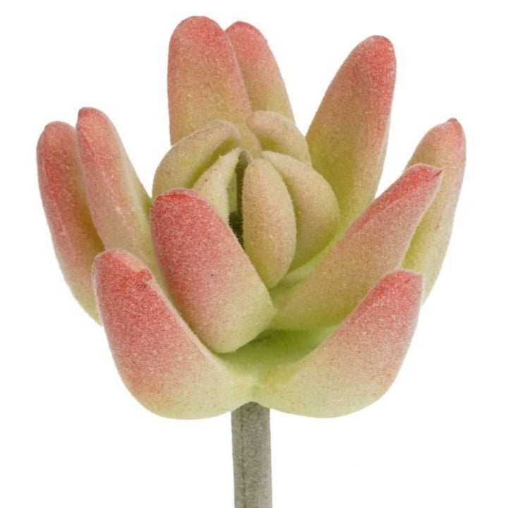 miniature artificial succulents Artificial_ Small Succulent Graptoveria