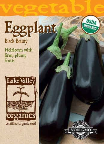 Organic Eggplant Black Beauty Heirloom