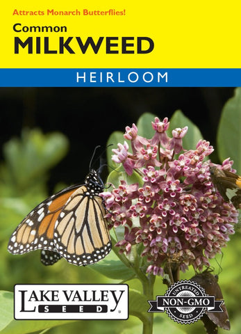 Milkweed Common Heirloom