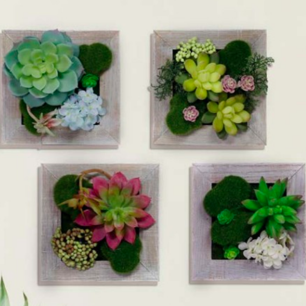 Alpine Succulent Wooden Frame Wall Hanging – Prairie Blossom Nursery