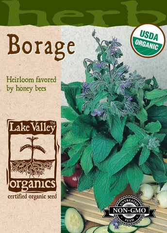 Organic Borage Heirloom