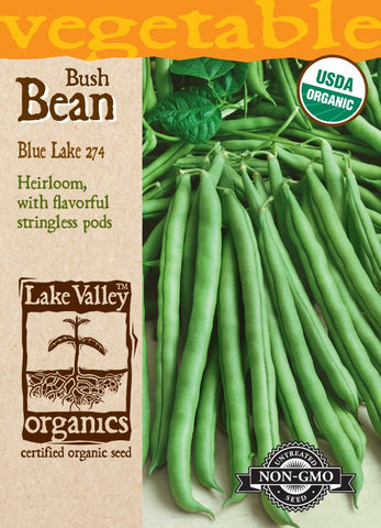 Organic Bean (Bush) Blue Lake 274 Heirloom