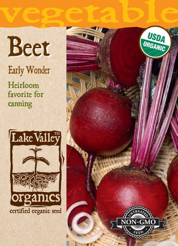 Organic Beet Early Wonder Heirloom