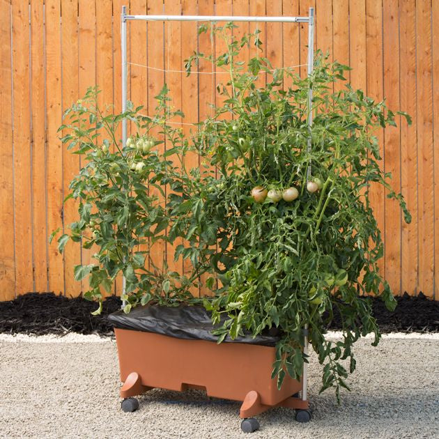bushy box planters EarthBox® Staking System – Prairie Blossom Nursery