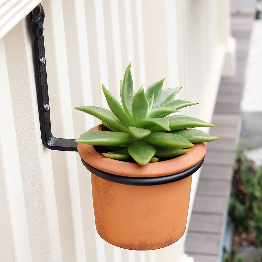plant pot hanging brackets Achia SFR- Bracket Pot Ring Wall