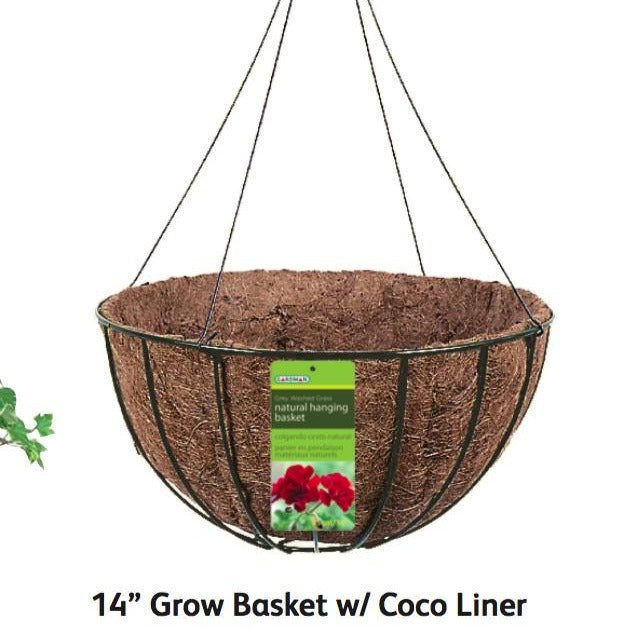 Wire Grow Basket With Coco Liner & 4 Wire Hanger