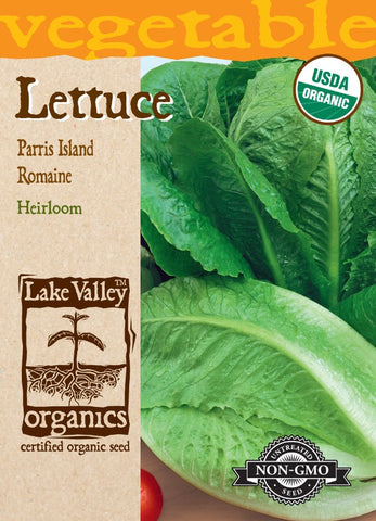 Organic Lettuce Romaine Parris Island Heirloom