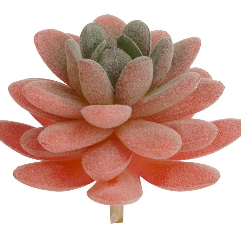 faux pink succulent Artificial_ Succulent