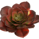 Artificial_ Succulent Echeveria - HZ36