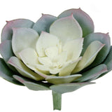 Artificial Succulent Aeonium - HZ34