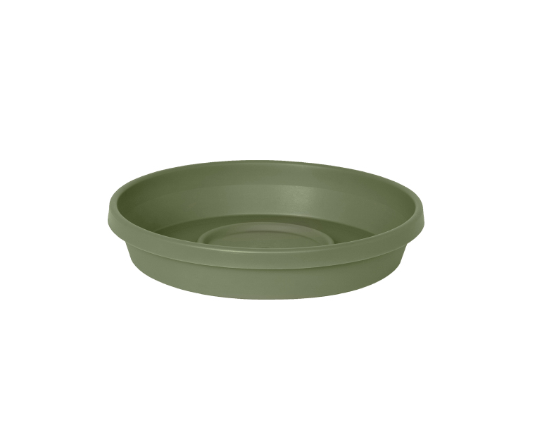 10 inch ceramic plant saucer Bloem Terra Plant Saucer Tray Bloem Color: Terra Cotta, Size: 13" W x 13" D`