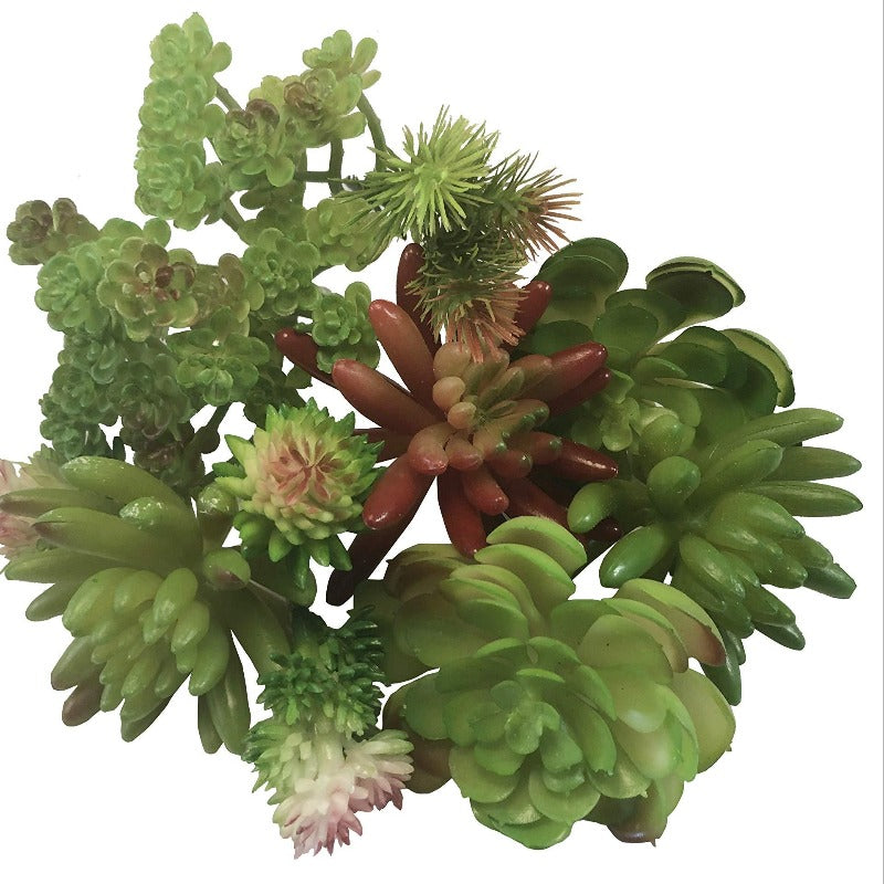 faux pink succulent Artificial_ Succulent Echeveria Pink with Light Tips – Prairie Blossom  Nursery