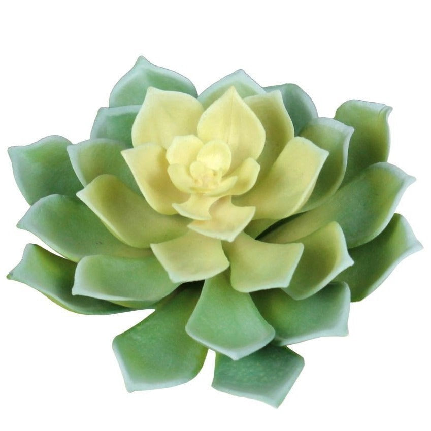 succulent clear leaves Artificial_ Succulent Echeveria Green Leaves w/yellow center – Prairie Blossom Nursery