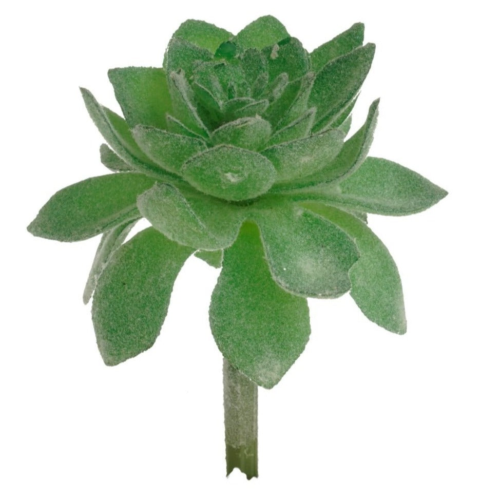 Artificial_ Small Succulent Echevaria HZ77  Prairie Blossom Nursery