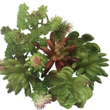 Artificial_ Succulent Echeveria - HZ36