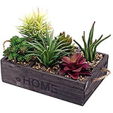 Artificial Succulent Aeonium - HZ34