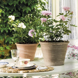Deroma Vasum Duo Bianco Bianco ‘W.G.’ Clay