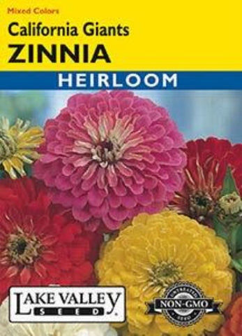 Zinnia California Giants Mixed Colors Heirloom