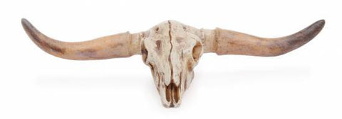 Woodland Knoll Cow Skull