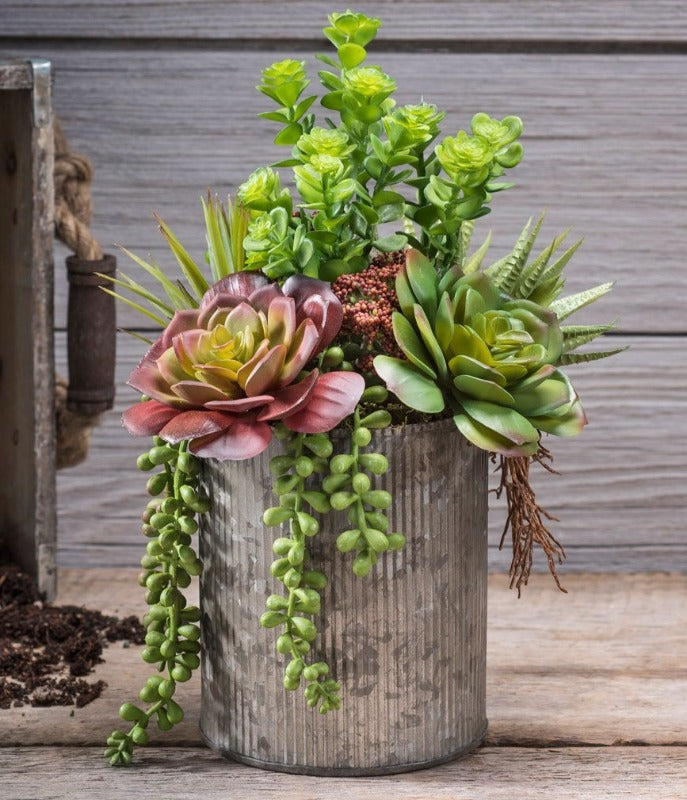 jelly bean succulent flowers Artificial_ Succulent Jelly Bean – Prairie Blossom Nursery