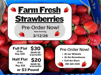 Pre-Order Fresh Fruit
