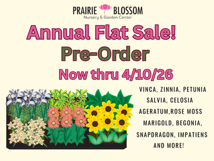 Online Pre-Order Flat Sale