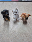 Land & Sea_ Mini Creatures