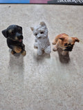 Land & Sea_ Mini Creatures