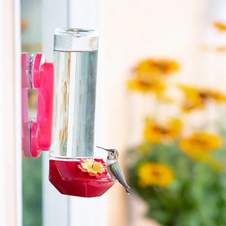 Perky-Pet Window-Mounted Glass Hummingbird Feeder