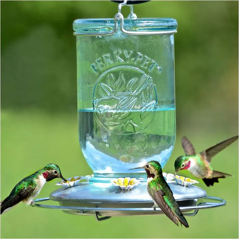 Perky-Pet Mason Jar Hummingbird Feeder