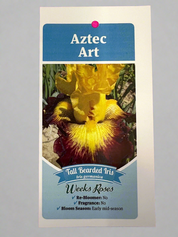 Iris Aztec Art