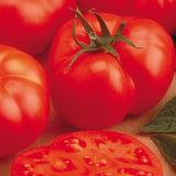 Tomato 'Beefmaster'