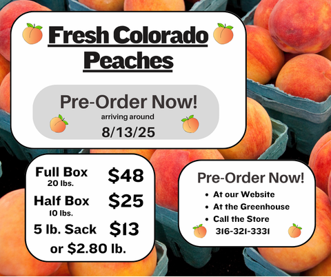 Farmers Market Fresh Colorado Peaches (Local Pickup Only)