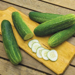 Straight eight Cucumber BS