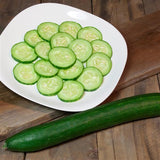 Cucumber Burpless BS