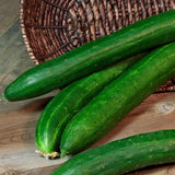 Cucumber tasty green bs