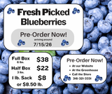 Farmers Market Fresh Blueberries (Local Pickup Only)
