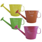 GS Watering Can Planter Assorted