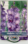 Gladiolus Big Girl Dev