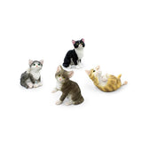 Land & Sea_ Mini Creatures