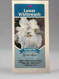 Iris Lunar Whitewash