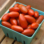 Tomato (Pole) San Marzano