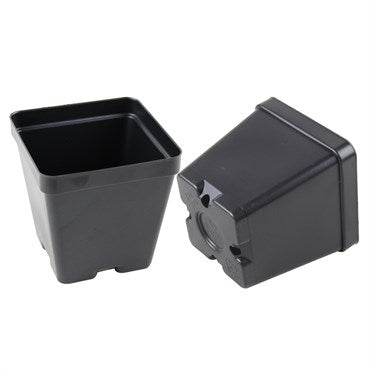 3.5" inch Vegetable Pot